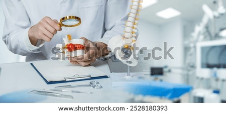 Spine diagnostics. A thorough analysis to select the right method of treating the spine in orthopedics.