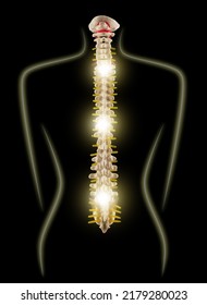 Spine Health. Woman Silhouette With Glowing Spine Showing Backbone Health, Concept