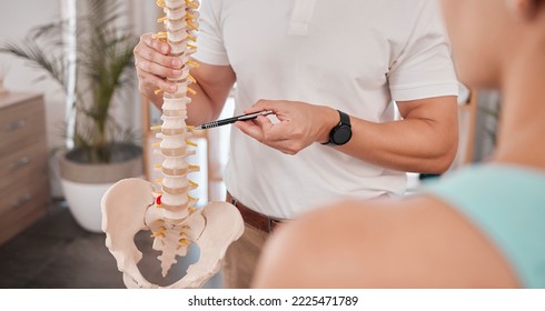 Spine model, healthcare and chiropractor with woman for consultation or treatment advice. Physiotherapy, wellness and doctor with patient and skeleton explaining cause of back pain, injury or problem - Powered by Shutterstock