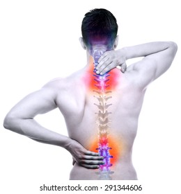 Spine Pain - Male Hurt Backbone isolated on white - Real Anatomy concept - Shutterstock ID 291344606