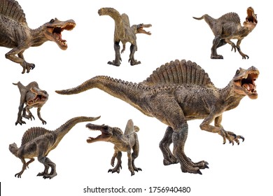 Spinosaurier , Dinosaurier auf weißem Hintergrund .