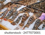 Spiny Lobster, shrimp fresh seafood market Thailand.