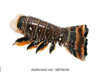 Spiny Lobster Tail