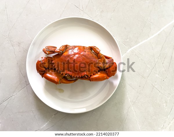 SPINY ROCK CRAB, fresh\
crab rock wild freshwater cook on white plate, forest crab or stone\
crab river