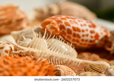 Spiny seashell with sharp ridges on tropical sand. Orange and white tones in artistic beach detail.