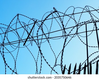 Spiral barbed wire on iron rods against a blue sky background. Barbed wire fencing
