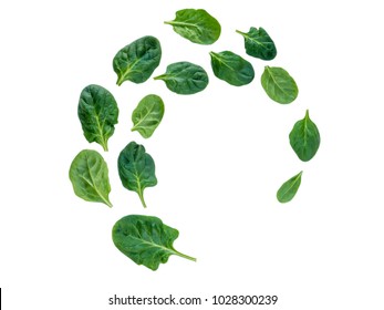 Spiral flying heap of green spinach leaves isolated on white
 - Powered by Shutterstock