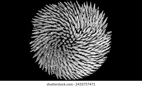 Spiral like whirlpool in black and white - Powered by Shutterstock