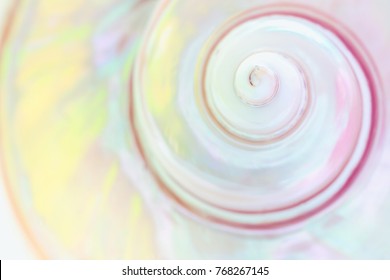 Spiral Of Mother Of Pearl Sea Shell Close Up Background 