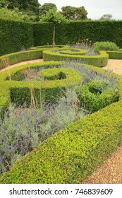 Spiral Topiary With Tall Hedge