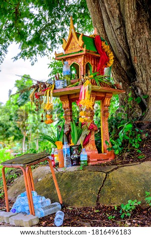 A spirit house on earth mound with a huge tree stands behind. Traditional Thai Miniature house built for a guardian spirit to reside. Food and drink are common offerings from Buddhists and worshipers.