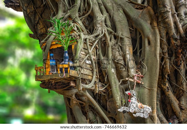 SPIRIT\
HOUSE AND TREE ROOTS INTERTWINED.\
Miniature house for guardian\
spirit. A dedicated structure to honor the guardians of the land\
that is found in the Southeast Asian\
countries.