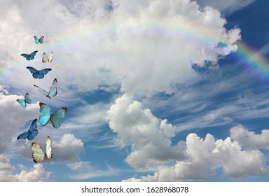 Spiritual And Ecologic Background For Meditation With Butterflies In Blue 