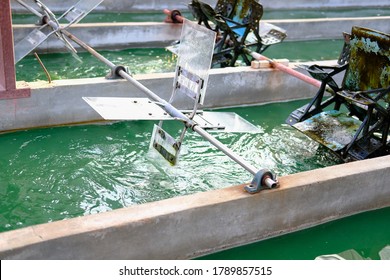 Spirulina Farm. Algae Farming For Dietary Supplement Production