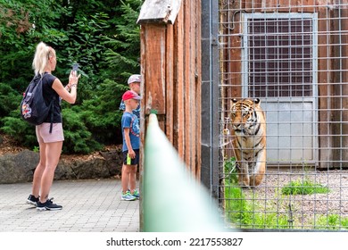 Spisska Nova Ves, Slovakia - July 28, 2022: Mom And Kids Standing In Front Of  Tiger In Cage And Making Photos In Zoo