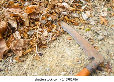 Spit Mowing Grass On The Ground. Autumn Harvest. Dry Leaves And Grass