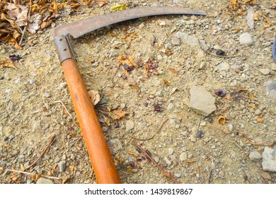 Spit Mowing Grass On The Ground. Autumn Harvest. Dry Leaves And Grass