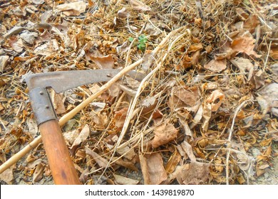 Spit Mowing Grass On The Ground. Autumn Harvest. Dry Leaves And Grass