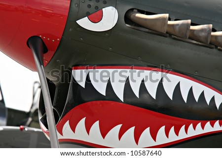 Spitfire detail