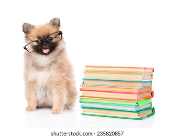 Spitz Puppy With Glasses And Pile Books. Isolated On White Background