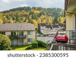 Splash of Autumn colors in a neighborhood Gresham Oregon.