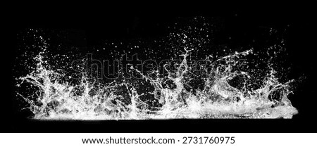 A splash of water, capturing the dynamic movement and energy of a liquid in motion against a black backdrop.