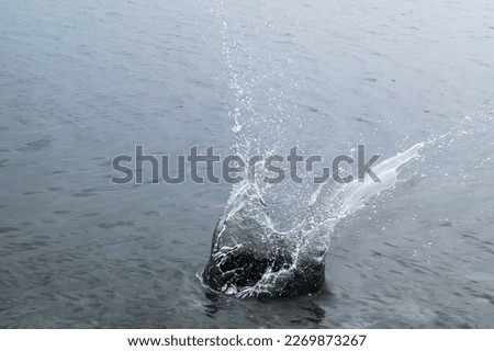 Splash of water when stone throwed and impact in the water. Texture and abstract nature background. Shape and form of water.
