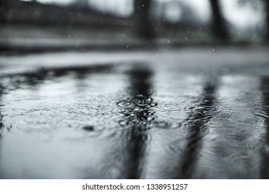 splashes and circles on the water from raindrops in a puddle