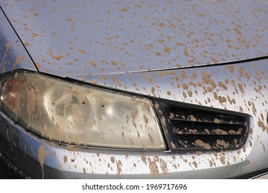 Splashes Of Mud. Close Up Of A Dirty Headlight Of Gray Car With Muddy Splash. Car Wash Concepts. - Background Texture