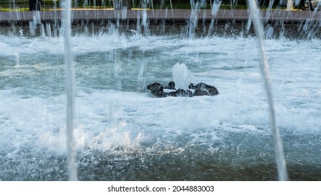 Splashing Water In The Fountain At Summer City Public Urban Park. Water Jets Abstract Image Close-up. Thin Jets Of Pure Clear Aqua Splashes Flying Upwards Under Pressure.