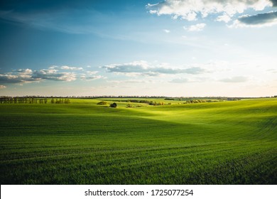 Splendid aerial photography of green wavy field in sunny day. Top view drone shot. Agricultural area of Ukraine, Europe. Concept of agrarian industry. Artistic wallpaper. Beauty of earth. - Powered by Shutterstock