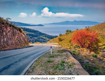 Splendid Autumn Scene Of Adriatic Shore With Empty Asphalt Road And Red Tree On The Side. Captivating Morning Landscape Of Albania, Europe. Traveling Concept Background.