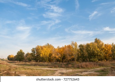 Splendid Fall Trees And The Blue Sky