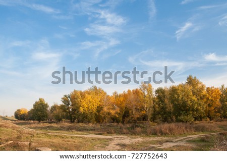 splendid fall trees and the blue sky
