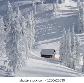 Splendid mountain winter landscape with secluded small wooden alpine cottage among the fir trees fully covered by snow