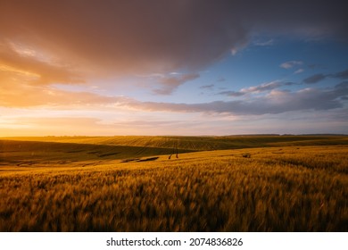Splendid scene of agricultural land in the sunlight in the evening. Location place of Ukrainian agrarian region, Europe. Scenic image of dramatic light. Perfect natural wallpaper. Beauty of earth. - Shutterstock ID 2074836826