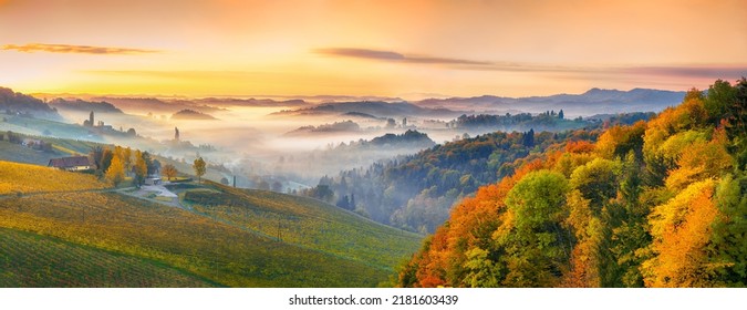 Splendid vineyards landscape in South Styria near Gamlitz. Autumn scene of grape hills in popular travell destination Eckberg. Location: Gamlitz, district of Leibnitz in Styria, Austria. Europe. - Shutterstock ID 2181603439