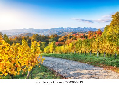 Splendid Vineyards Landscape In South Styria Near Gamlitz. Autumn Scene Of Grape Hills In Popular Travell Destination Eckberg. Location: Gamlitz, District Of Leibnitz In Styria, Austria. Europe.