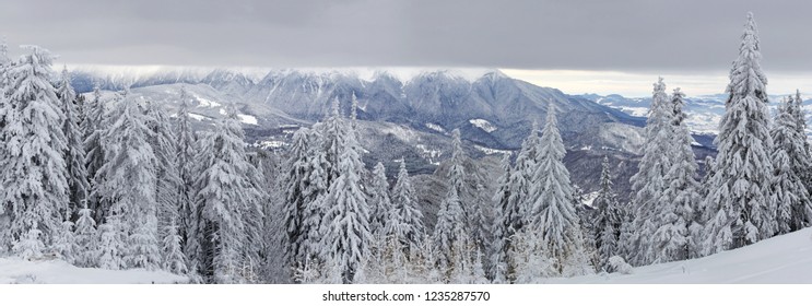 Splendid winter alpine landscape with fir trees forest covered with snow and dark sky over the mountain top