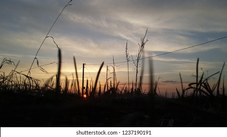 the splendor of nature