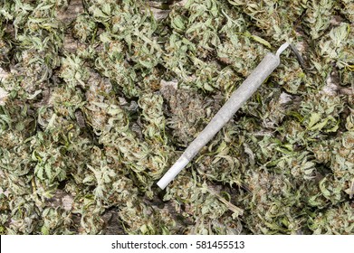 Spliff - Cannabis Joint On Dry Cannabis Buds Background