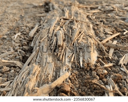 Similar – Image, Stock Photo Splinter group Broken