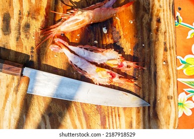 A Split BC Spot Prawn