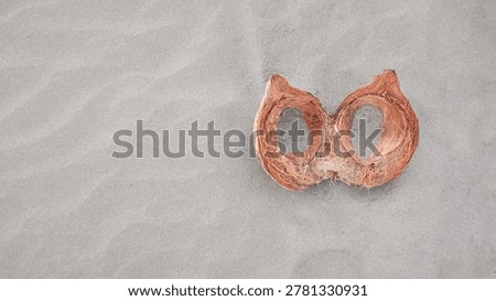Split coconut shell on smooth beach sand with tropical minimal aesthetic and wide copy space for summer travel or nature themed designs.