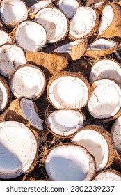 Split coconuts drying under the sun, fresh tropical fruit halves arranged for copra production, natural organic background for agricultural industry concepts