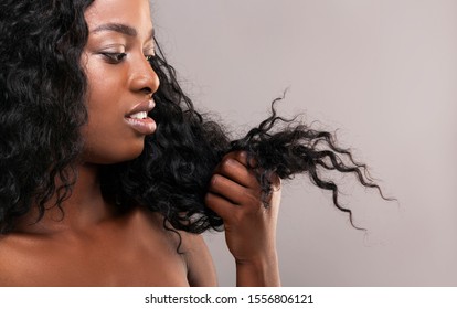 Split Ends. Disappointed African American Woman Looking At Her Dry Damaged Hair, Grey Studio Background, Closeup