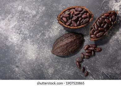 Split Fermented Cocoa Pod With Shelled Cacao Beans Atop Dark Grey Backdrop, Top View, Copy Space