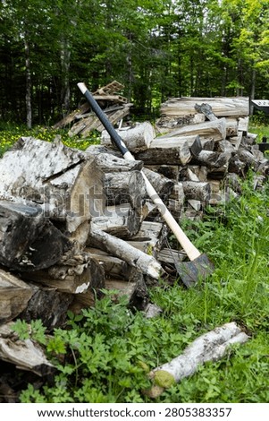 Split Firewood Stack with Splitting Axe in Rural Backyard, Vertical Composition