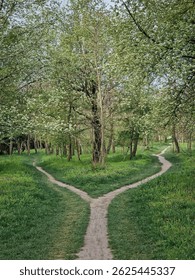 Split footpath in the forest, choosing the right way concept. Idyllic spring rural landscape with two distinct dirt trails in the nature leading unknown destinations. Forked path and decision making