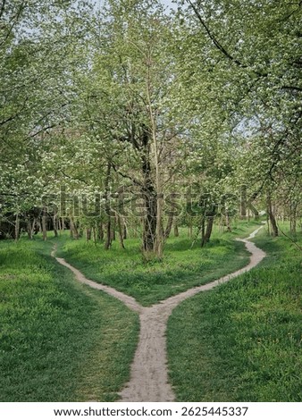 Split footpath in the forest, choosing the right way concept. Idyllic spring rural landscape with two distinct dirt trails in the nature leading unknown destinations. Forked path and decision making